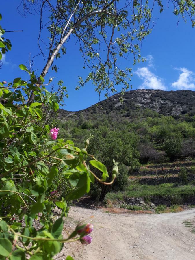 Agrompelo House Villa Agros Exterior photo